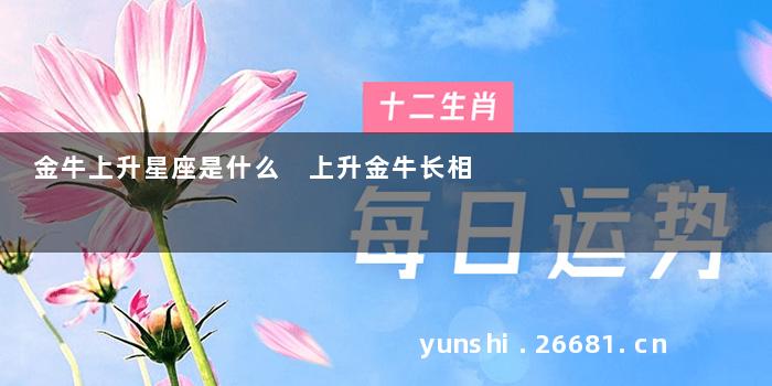 金牛上升星座是什么 上升金牛长相